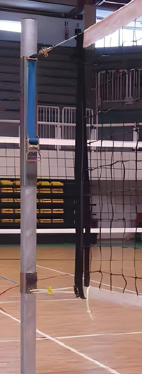 Volleyball Posts