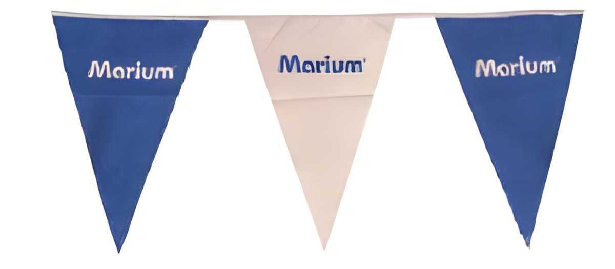 Backstroke Turn & Finish Flag Line